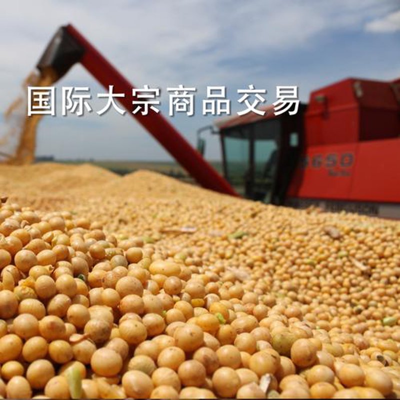 供应链管理的‘隐形力量’：以科技赋能企业